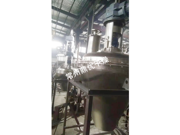 DZG立式螺带真空干燥机