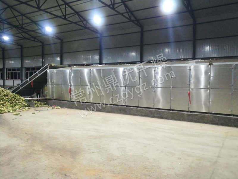 脱水蔬菜带式干燥机