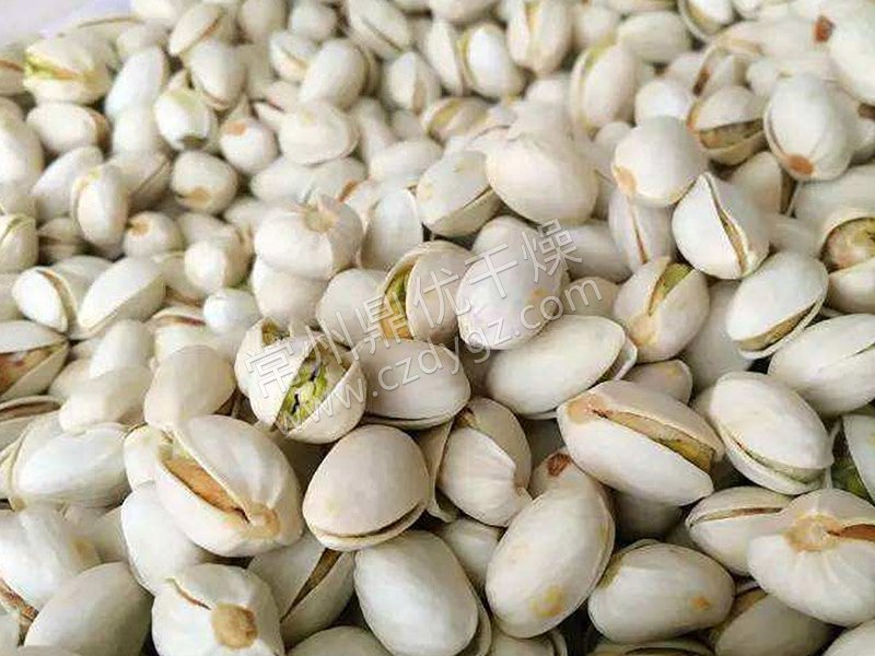 开心果真空耙式干燥机